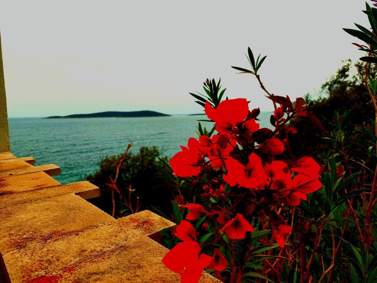 Apartment Slavonia Vis